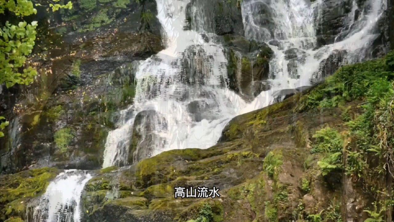 试镜机会